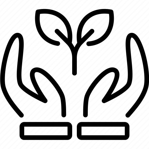 Renovision Exports Pvt. Ltd