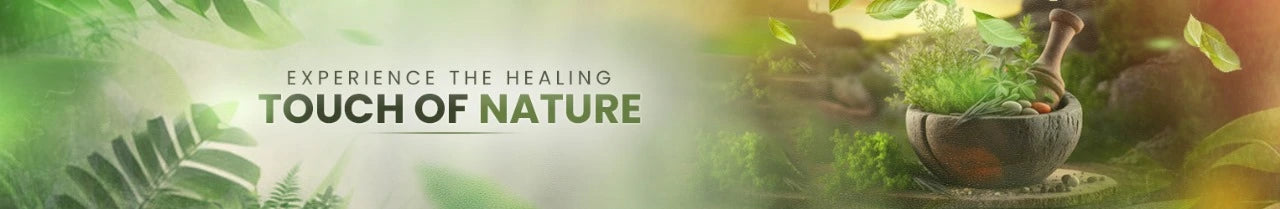 Renovision Exports Pvt. Ltd