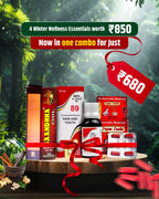 Renovision Exports Pvt. Ltd